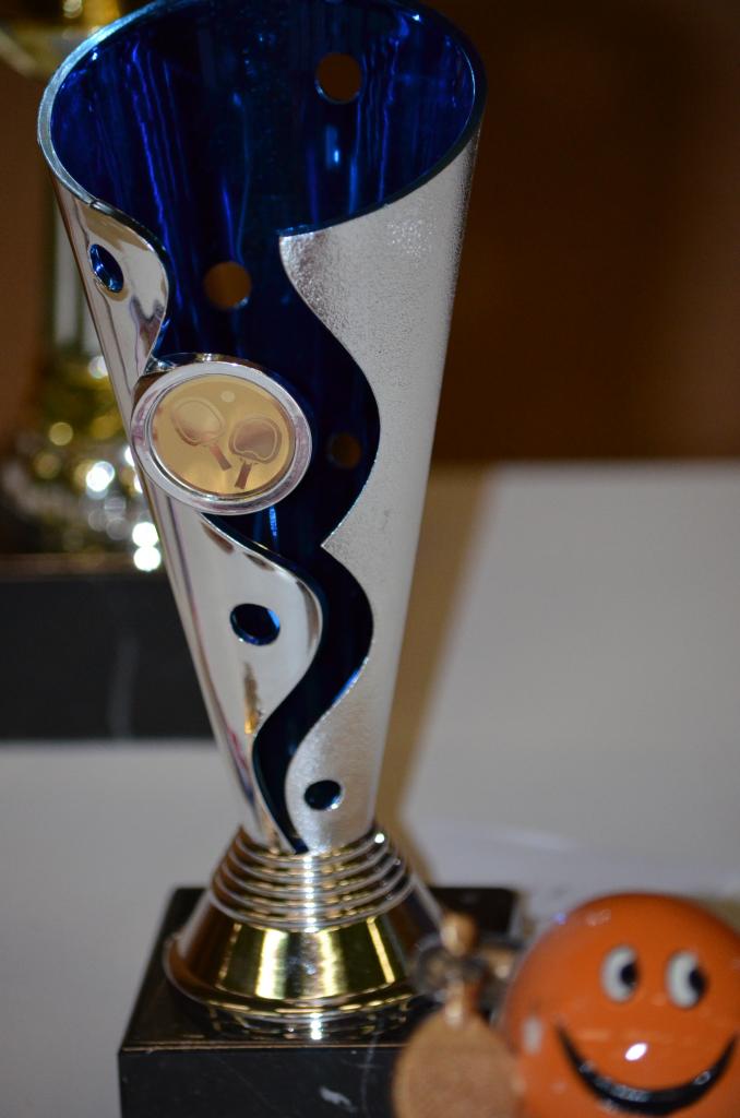 Tournoi SFTT 2015